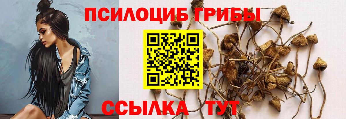 Галлюциногенные грибы Cubensis  Вход с VPN  Галлюциногенные грибы Psilocybe  Кубинка 