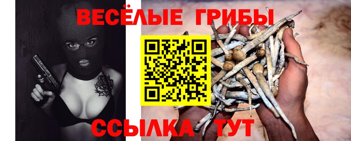 Галлюциногенные грибы прущие грибы Кубинка